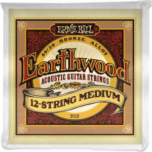 Ernie Ball 2012 Earthwood 80/20 bronze medium /12 cordes 11-52 ERNIE BALL - 1