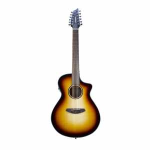 BREEDLOVE DISCOVERY S CONCERT THIS 12 C