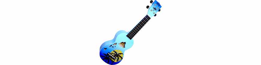Ukuleles and their accessories