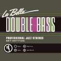 Strings for Double Bass