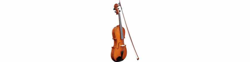 Viola violin